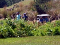 we-can-find-it-keep-looking