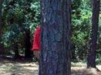 someone-unknown-hides-while-greg-short-is-hitting-i-only-wish-i-knew-who-this-was