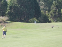 2013_on_the_course_133
